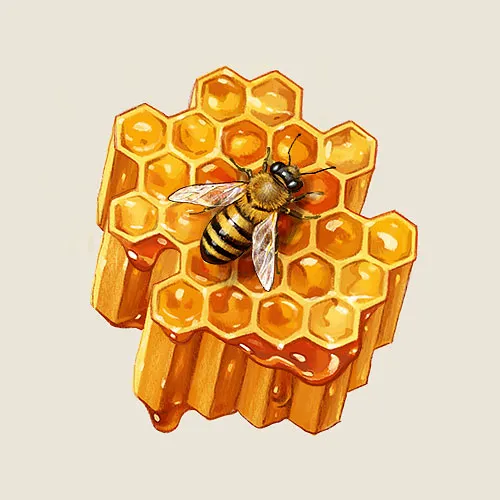 Digital illustration of a bee with honeycomb rendered in a colour pencil style by Anton Petrov.