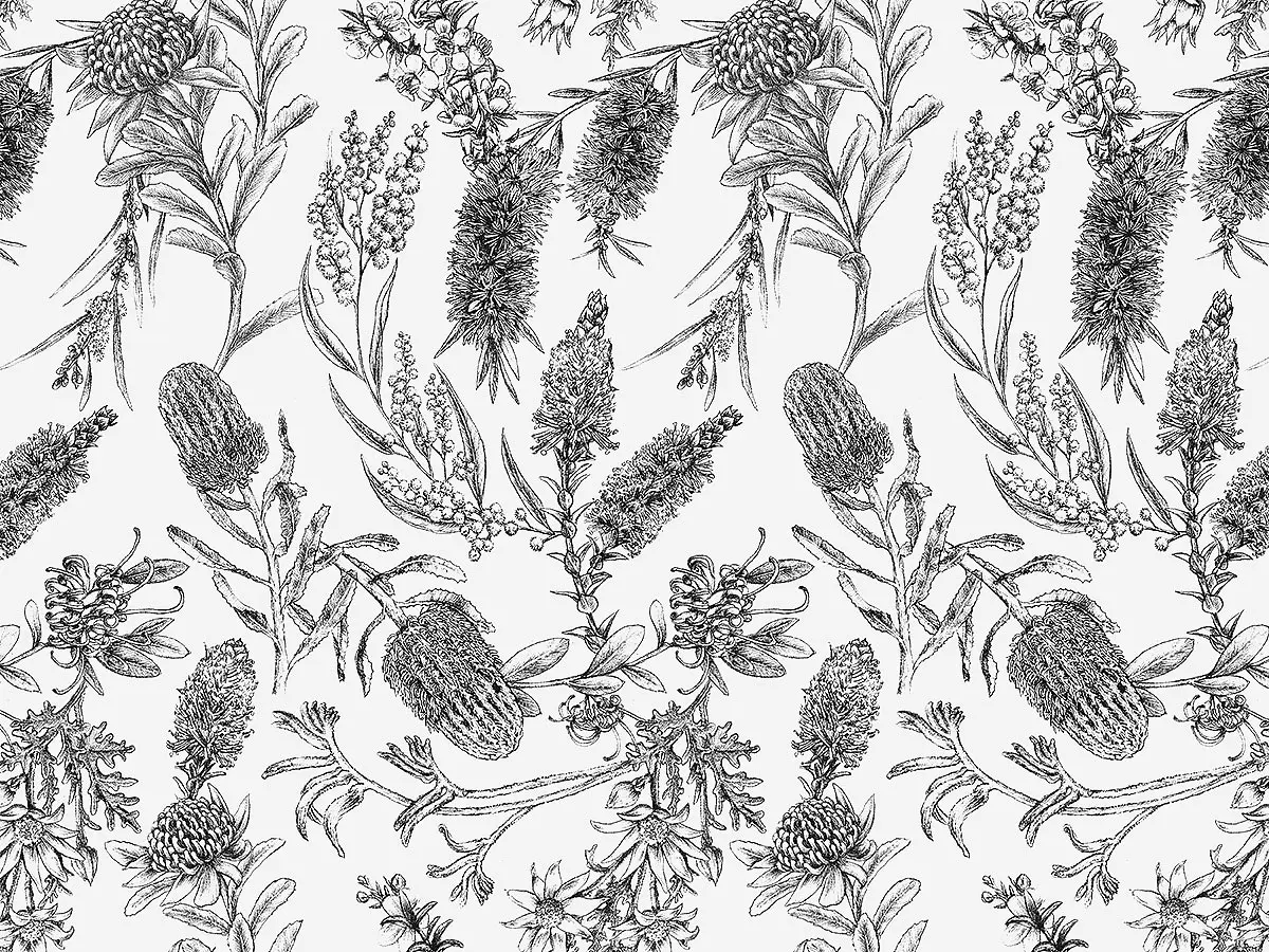 Sketch illustration of Australian flowers arranged in a repeating pattern by Elise Martinson