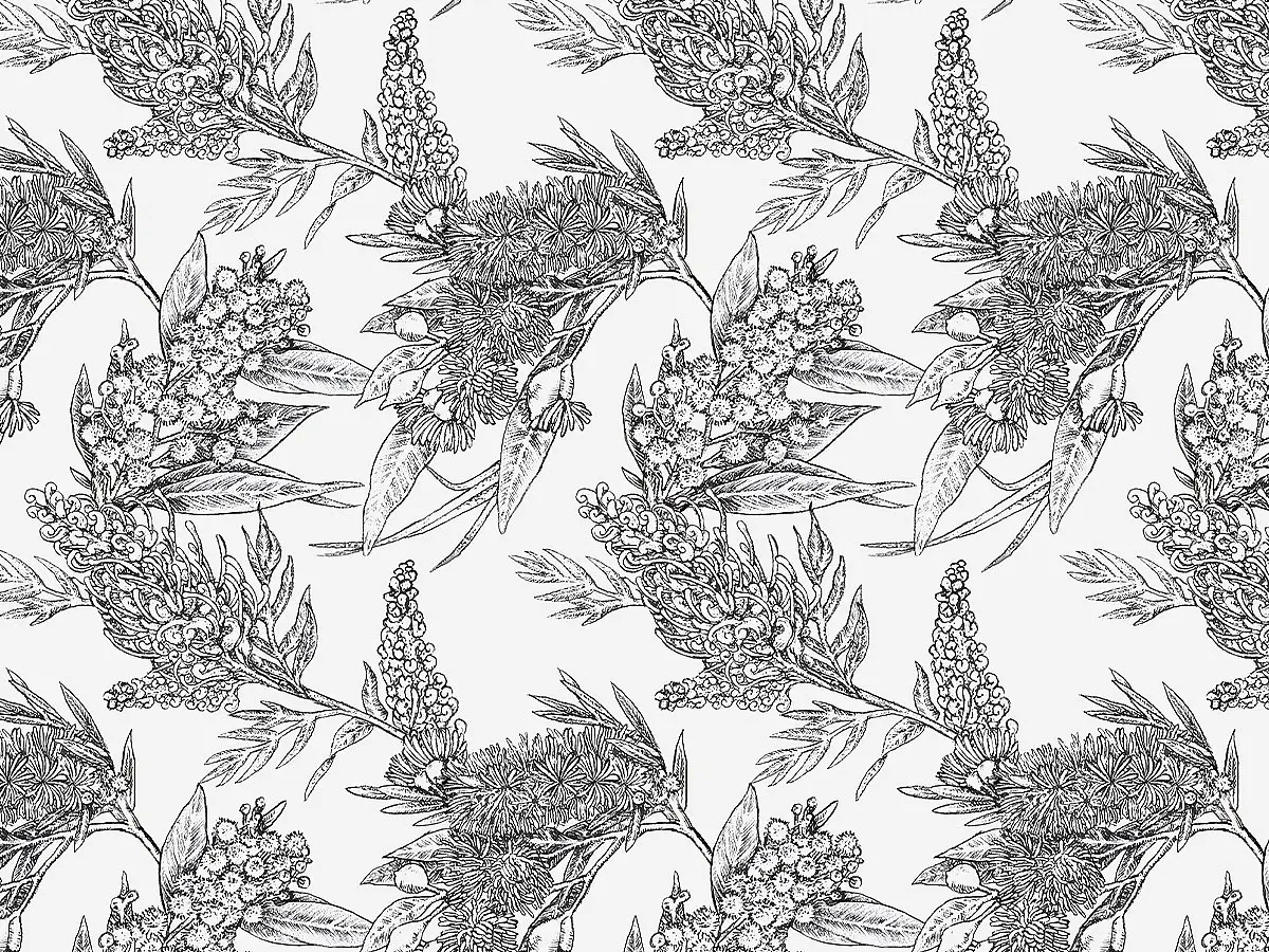 Sketch illustration of Australian flowers arranged in a repeating pattern by Elise Martinson