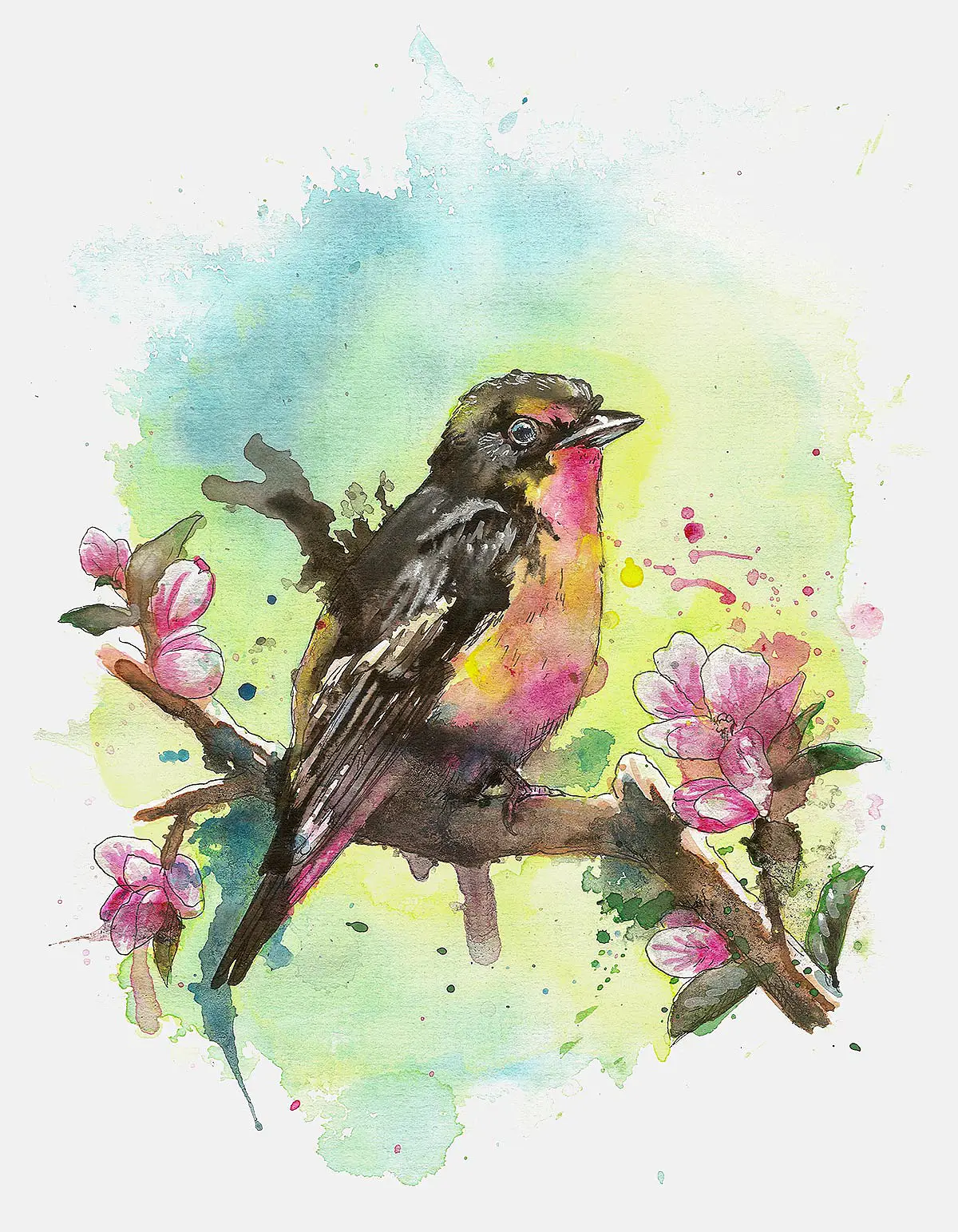 A loose watercolour painting of a black bird by Elise Martinson